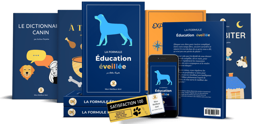 Home 13 Supprimez pour de bon les mauvaises habitudes de votre chien dès aujourd'hui facilement...