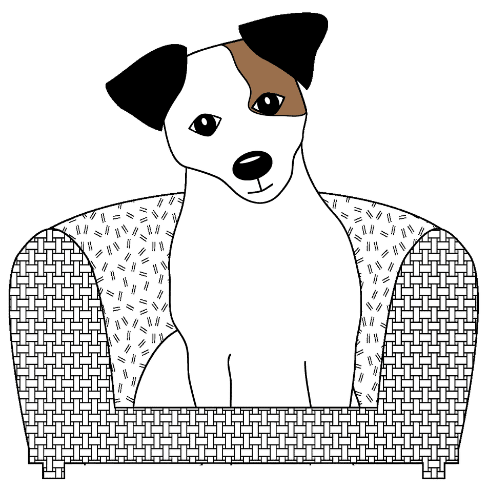 Home 6 jack russell 1996220 1920